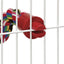 Flamingo Perch Flexible L - памучна кацалка за птици 66 см / 18 мм