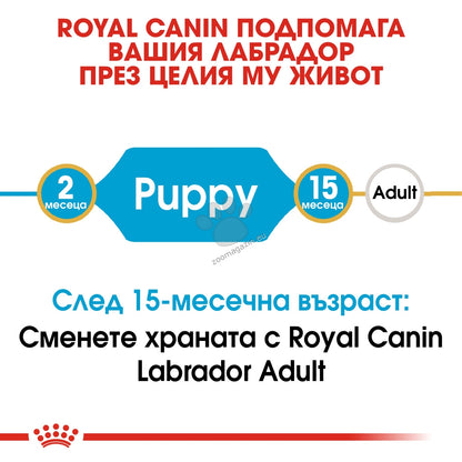 896bd16e04525a134517c4a439d0bf1f.jpeg