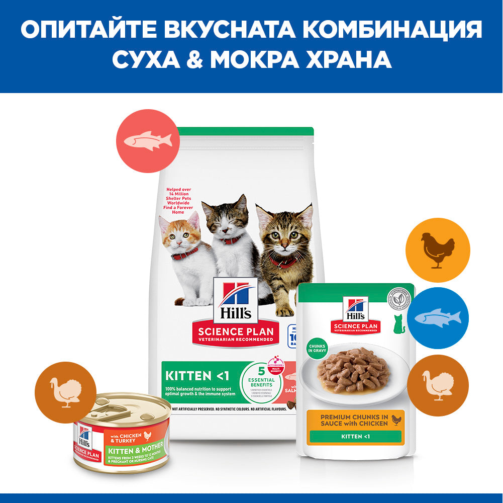 Hills Science Kitten Salmon - суха храна за котнеца със сьомга 1.5 кг