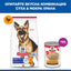 Hills Science Plan Canine Mature Adult Large Breed – с пилешко, пълноценна суха храна за кучета от едри и гигантски породи в напреднала възраст (над 25 кг, над 5г.) 12+2 кг.
