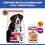 Hills Science Plan Large Breed Adult – с агнешко, пълноценна храна за кучета от едри породи над 25 кг с умерени енергийни нужди, 1 - 6 г. 11+3 кг.