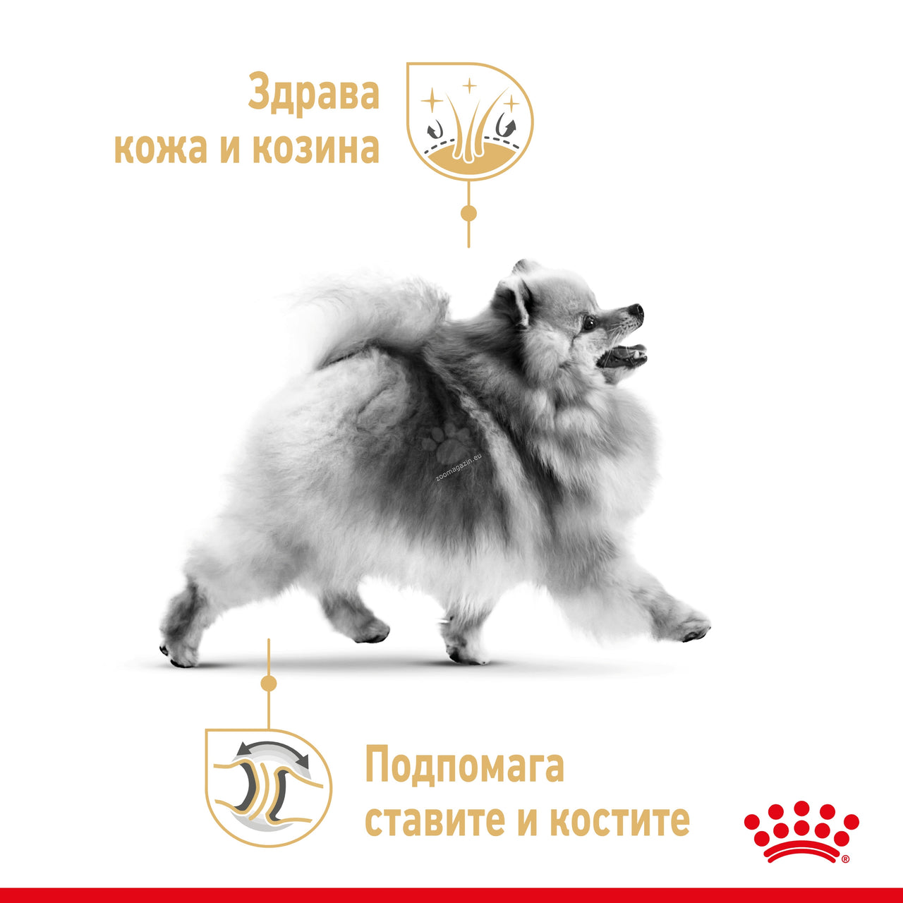 8b423654ffee8769aa1300e2fb946463.jpeg