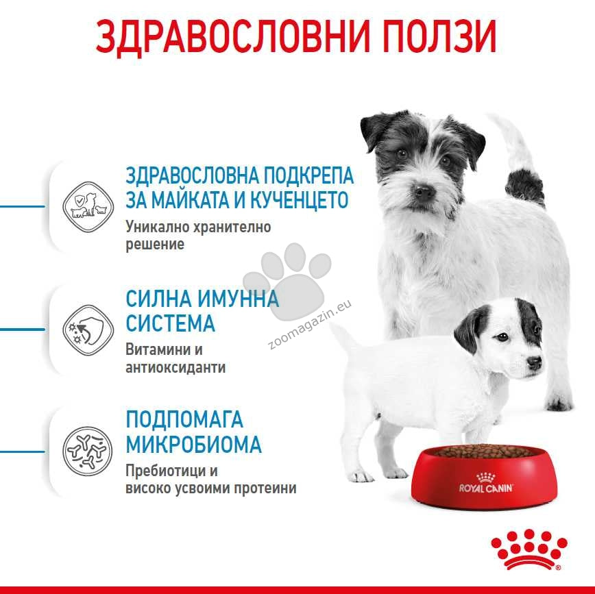 8b50d75858924c6cfabfe709ecef5e02.png