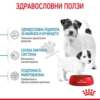 8b50d75858924c6cfabfe709ecef5e02.png