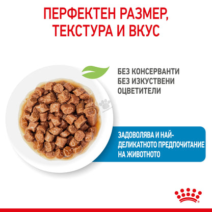 8eaa89410e06f60a12c8438320ef3ae1.jpeg
