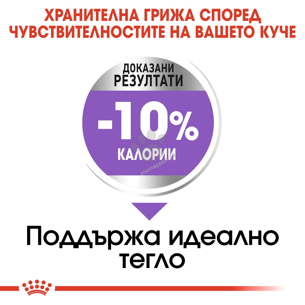 94cbc96958540923969935e6477ff525.jpeg