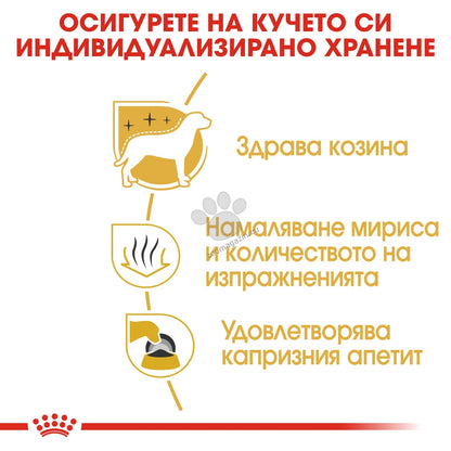 956867d9501542d92bfd68a6fc5d2c02.jpeg