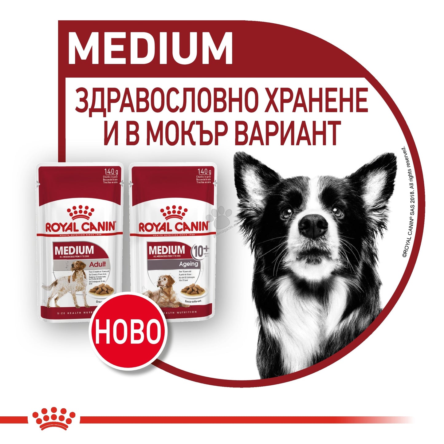 РАЗПРОДАЖБА Royal Canin Medium Ageing Pouch - пълноценна храна за кучета в напреднала възраст от средни породи (от 11 до 25 кг) над 10 години 140 гр
