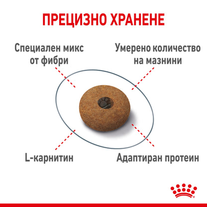 99cc39b76926265490d592409884e4ec.jpeg