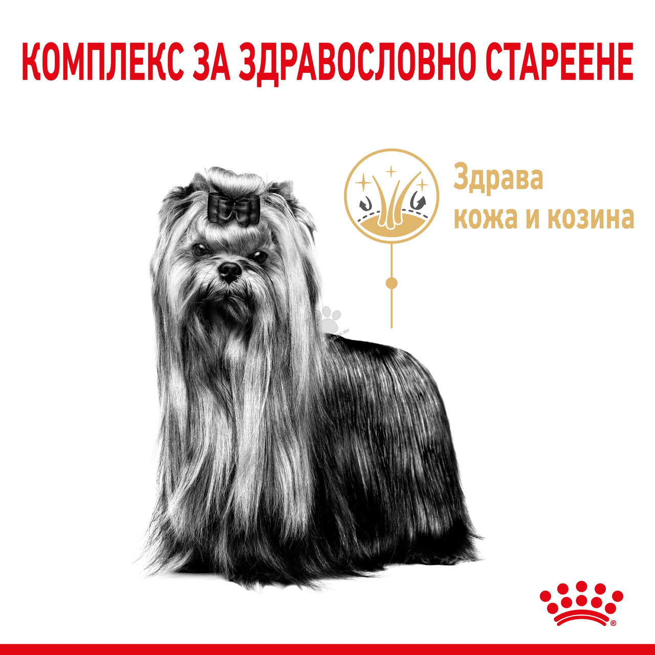 9b49c6606695d0ea8705d76858444ae9.jpeg