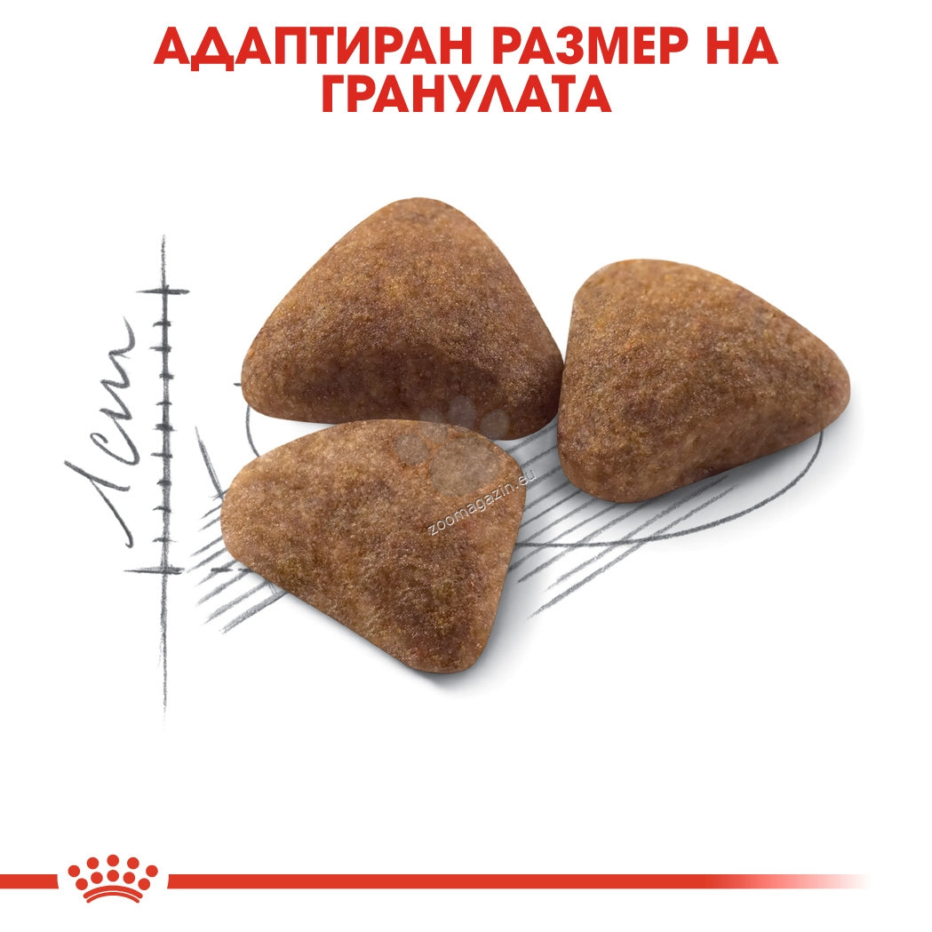 9bf1c3174b91cc150bf567dd6c60f0c3.jpeg