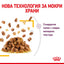 РАЗПРОДАЖБА Royal Canin Sensory Taste in Jelly - пълноценна храна хапки в желе в пауч за котки в зряла възраст над 1 година 85 гр.