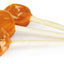 Camon Chicken Lollipop - лакомство за кучета с пилешко месо 80 гр