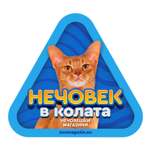 Стикер за кола - Абисинска котка