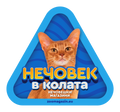 Стикер за кола - Абисинска котка