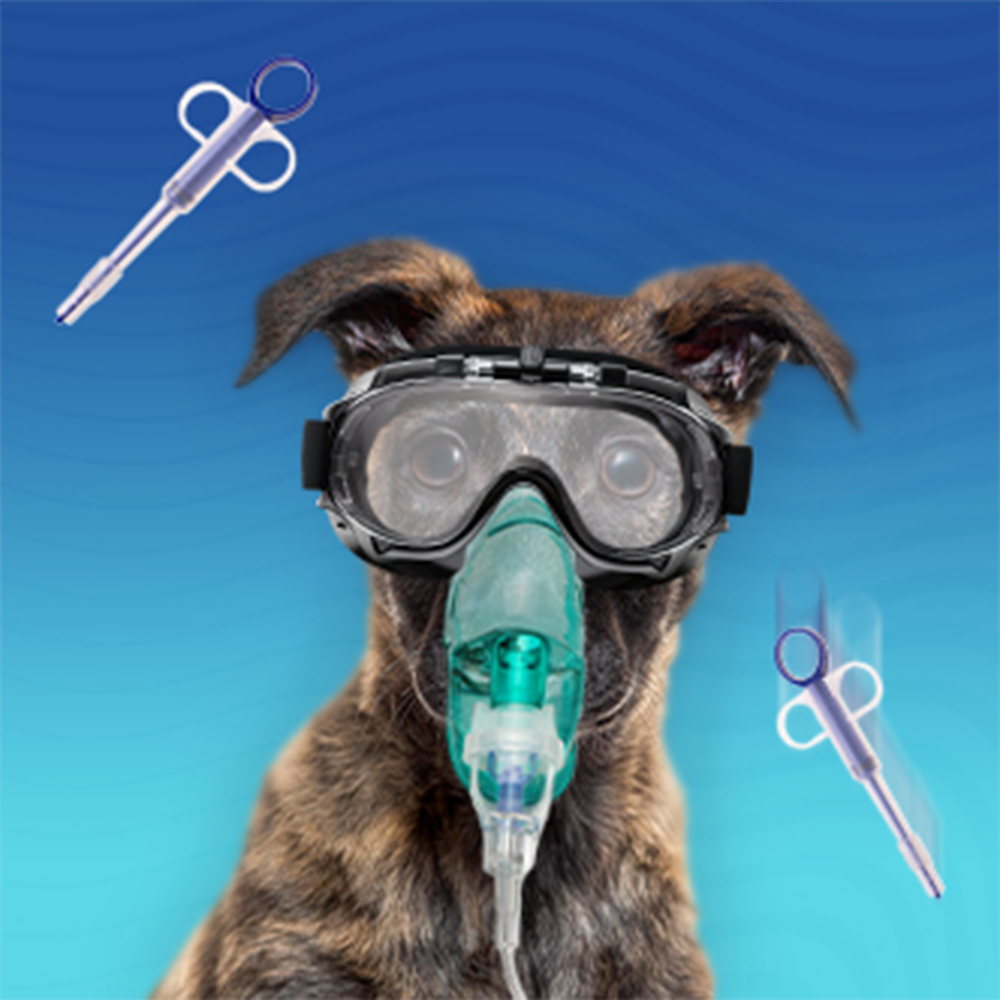 Апликатори и болусодаватели за животни