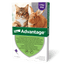 Bayer Advantage - противопаразитни пипети за котки, 4 броя