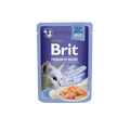 Brit Premium by Nature Fillets in Jelly with Salmon - пауч за котка със сьомга в желе 85 гр