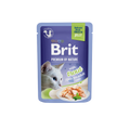 Brit Premium Cat Delicate Fillets in Jelly with Trout - филета с пъстърва в желе 85 гр