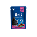 Brit Chicken and Turkey - с пилешко и пуешко месо 100 гр