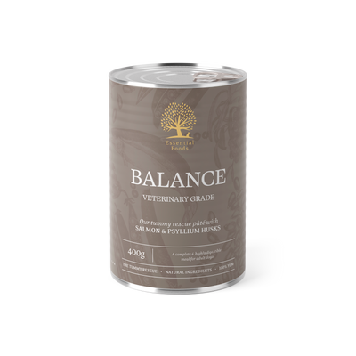 Essential Balance Pate - пастет за кучета със сьомга 400 гр