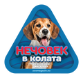 Стикер за кола - Бийгъл