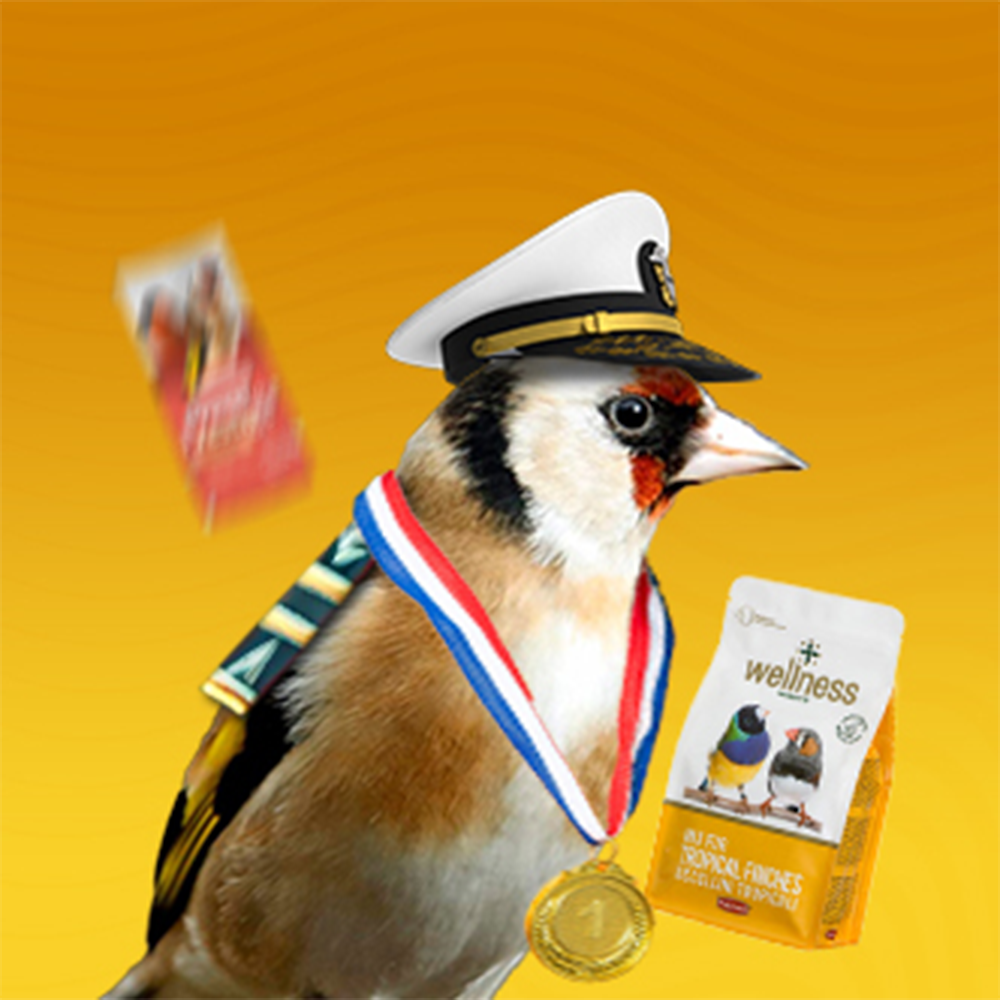 Храна за финки