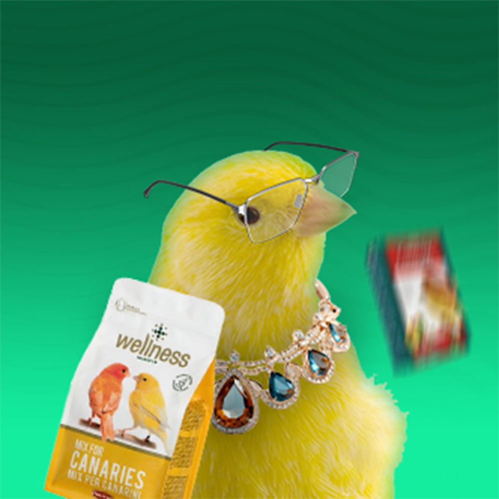 Храна за канарчета