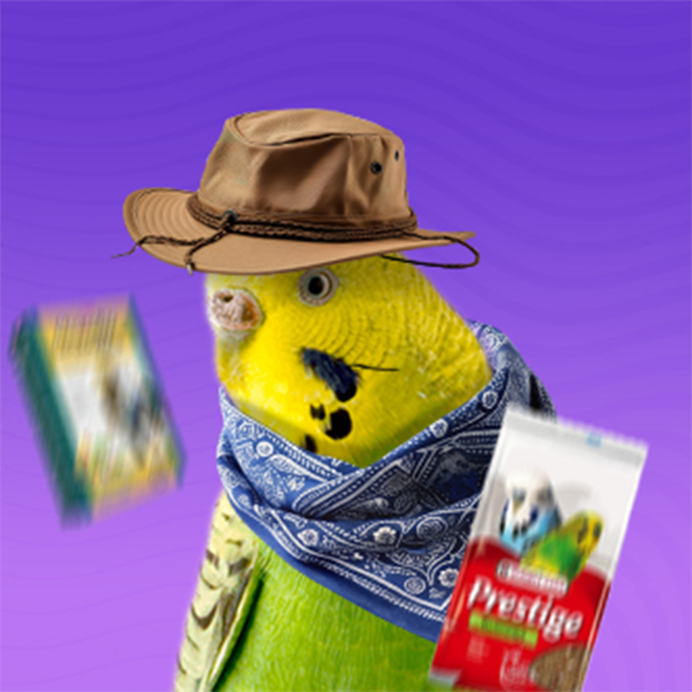 Храна за птици