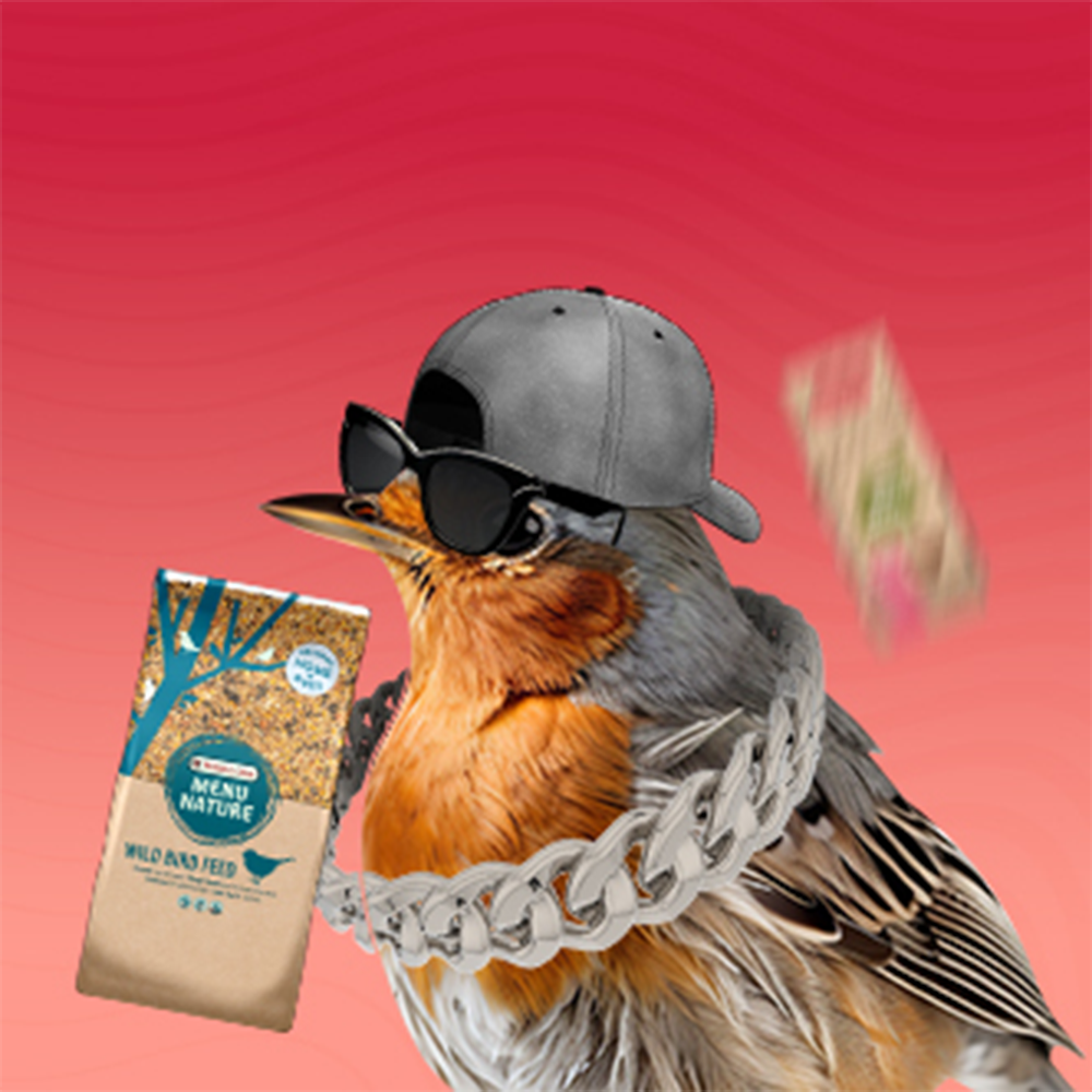 Храна за диви птици