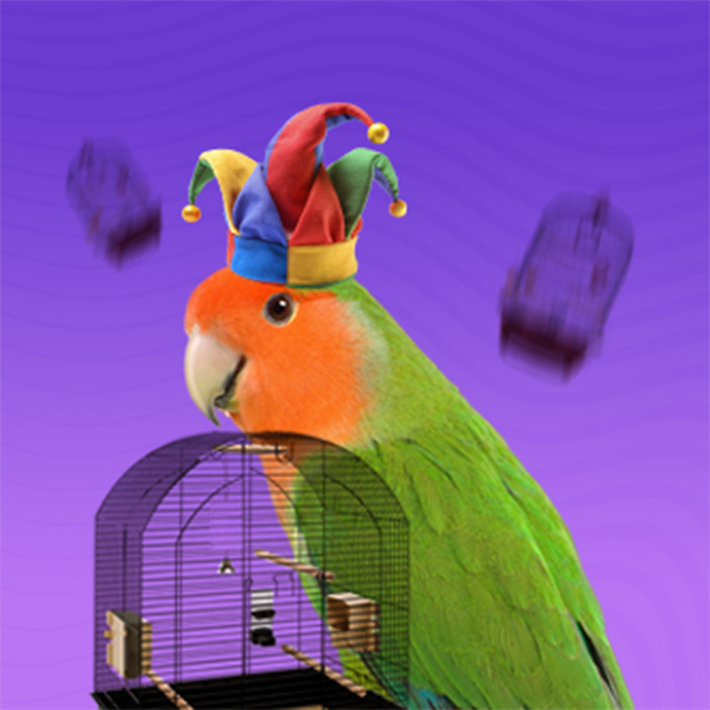 Клетки за птици