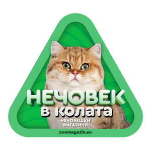 Стикер за кола - Британска късокосместа