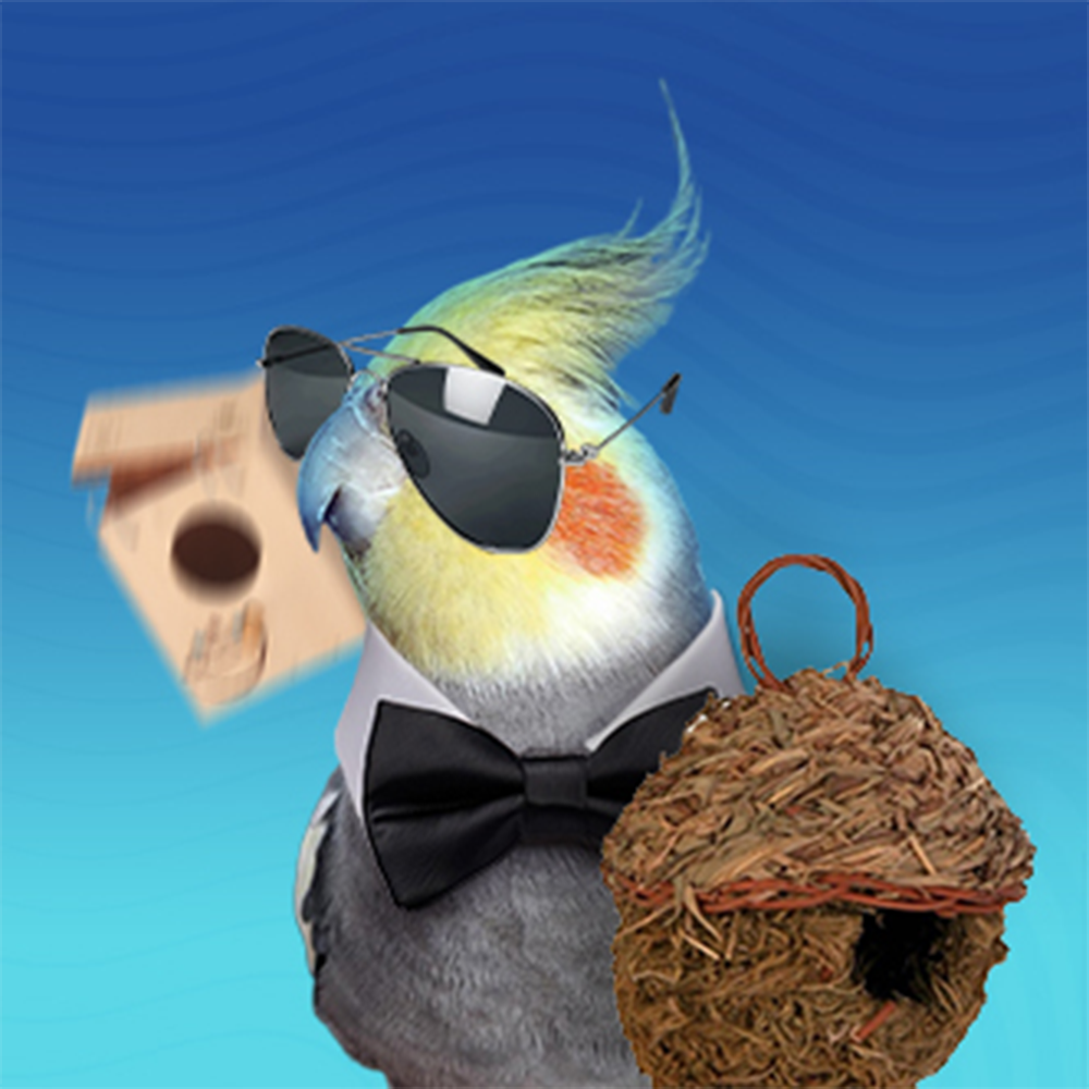 Гнезда и гнездилки