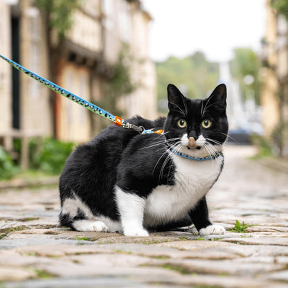 Max Molly Black Sheep Cat Harness Set - cat harness with leash for neck circumference 21.5-33 cm and body circumference 27-44 cm