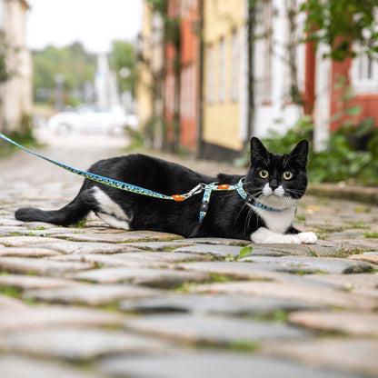 Max Molly Black Sheep Cat Harness Set - cat harness with leash for neck circumference 21.5-33 cm and body circumference 27-44 cm