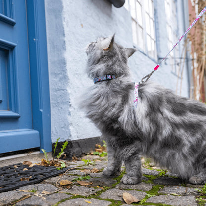 Max Molly Cat Harness Set Cherry Bloom - harness and leash for cats with neck circumference 21.5-33 cm and body circumference 27-44 cm