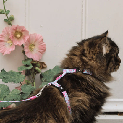 Max Molly Cat Harness Set Cherry Bloom - harness and leash for cats with neck circumference 21.5-33 cm and body circumference 27-44 cm