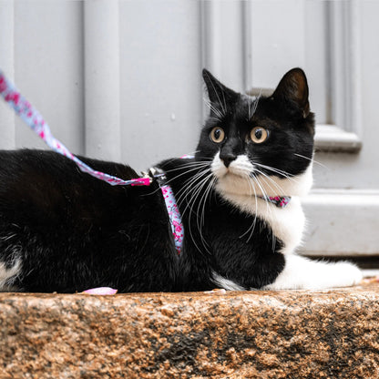Max Molly Cat Harness Set Cherry Bloom - harness and leash for cats with neck circumference 21.5-33 cm and body circumference 27-44 cm
