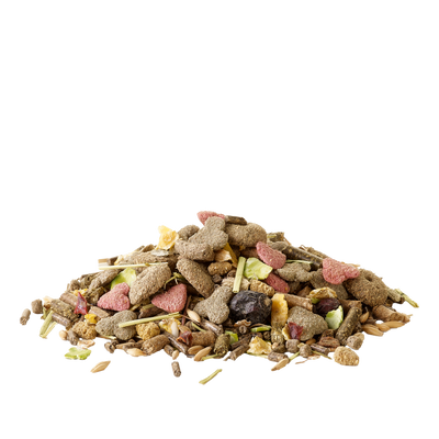 Versele Laga Crispy Muesli Guinea Pig - пълноценна храна за морски свинчета