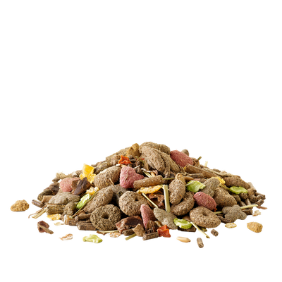 Versele Laga Crispy Muesli Rabbit - пълноценна храна за декоративни зайци