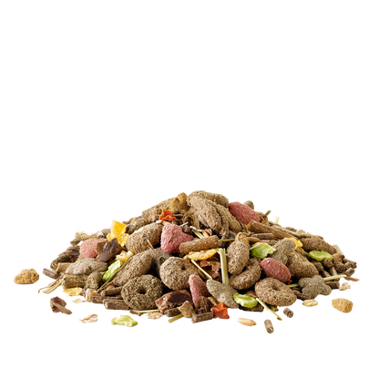 Versele Laga Crispy Muesli Rabbit - complete food for dwarf rabbits