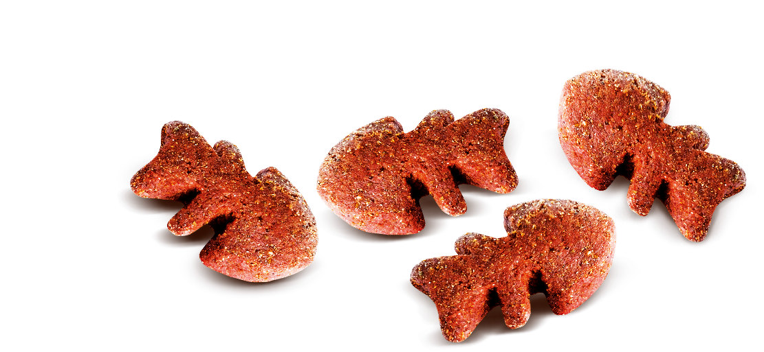 Carnilove Cat Crunchy Snack Salmon with Mint with fresh meat - лакомство за здрави зъби и венци със сьомга и мента 50 гр