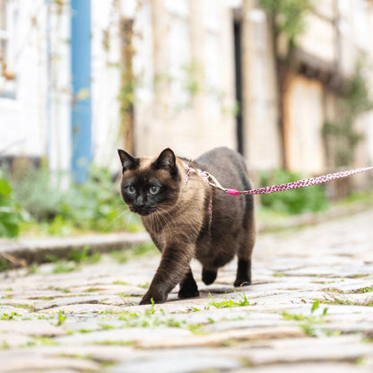 Max Molly Cat Harness Set Leopard Pink - нагръдник с повод за котка с обиколка на врата 21,5-33 см и обиколка на тялото 27-44 см