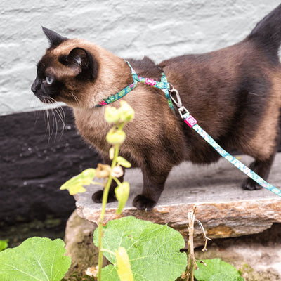 Max Molly Cat Harness Set Tropical - нагръдник с повод за котка с обиколка на врата 21,5-33 см и обиколка на тялото 27-44 см