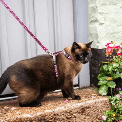 Max Molly Cat Harness Set Leopard Pink - нагръдник с повод за котка с обиколка на врата 21,5-33 см и обиколка на тялото 27-44 см