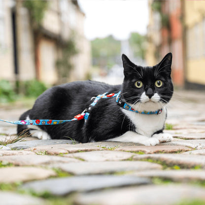 Max Molly Little Monster Cat Harness Set - нагръдник с повод за котка с обиколка на врата 21,5-33 см и обиколка на тялото 27-44 см