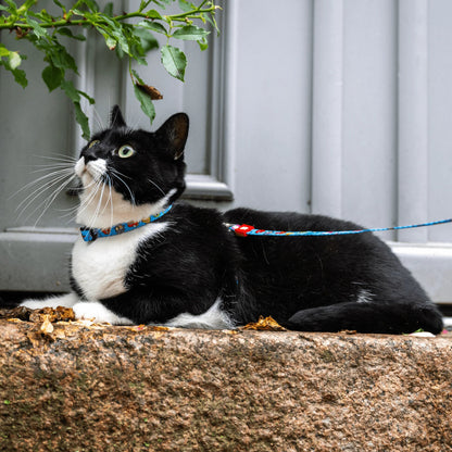 Max Molly Little Monster Cat Harness Set - нагръдник с повод за котка с обиколка на врата 21,5-33 см и обиколка на тялото 27-44 см