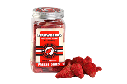 Kiwi Freeze-Dried Strawberry -лакомство за кучета и котки 25 г