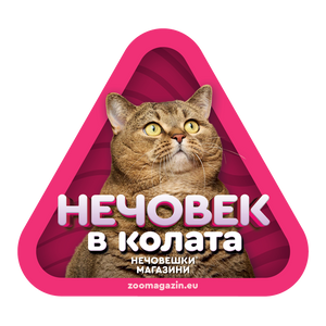 Стикер за кола - Домашна дебела котка