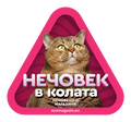 Стикер за кола - Домашна дебела котка
